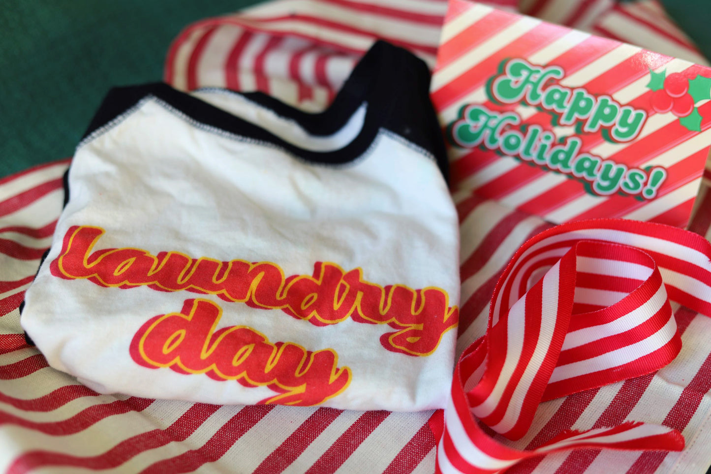 LAUNDRY DAY TODDLER RAGLAN